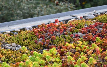 the cost of Meigh green roof installation