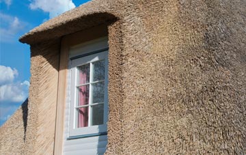 Meigh thatch roof disadvantages